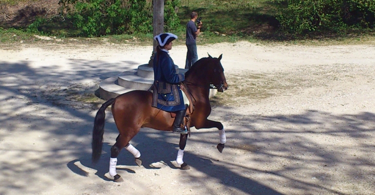 Charlotte Wittbom riding Vip at Quinta do Brejo.